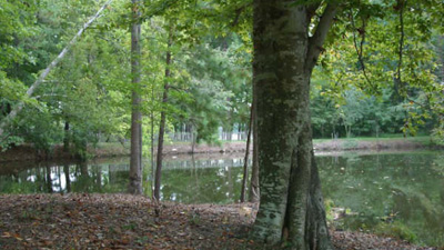 lake