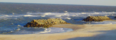 Scenic View